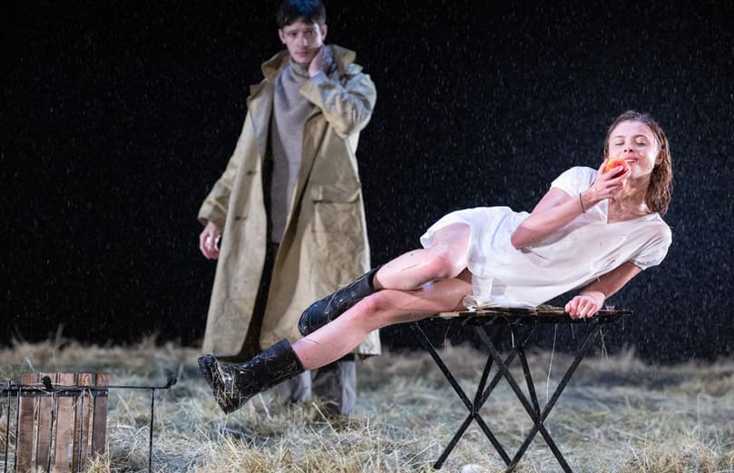 Месяц в деревне